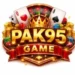 Pak95 Game