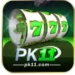 PK11 Game